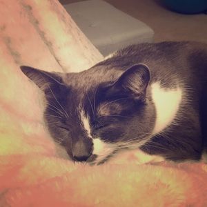 Meet your Posher, Lara